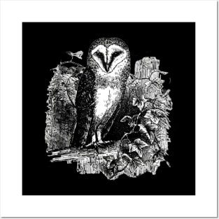 Barn Owl Woodcut Posters and Art